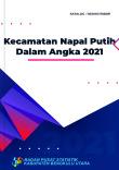 Kecamatan Napal Putih Dalam Angka 2021