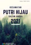 Kecamatan Putri Hijau Dalam Angka 2021