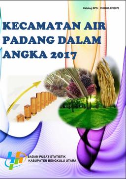 Air Padang Subdistrict In Figures 2017