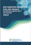 Ketahun Subdistrict In Figures 2022