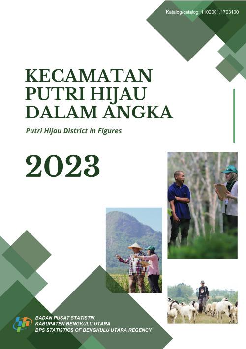 Kecamatan Putri Hijau Dalam Angka 2023