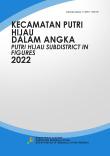 Kecamatan Putri Hijau Dalam Angka 2022