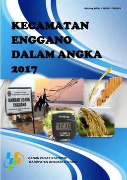 Enggano Subdistrict In Figures 2017